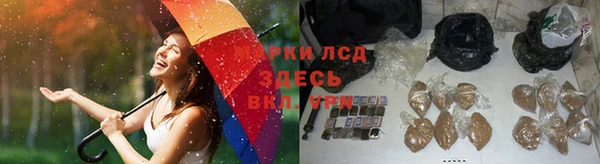 спайс Пересвет