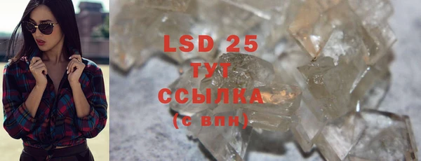 спайс Пересвет