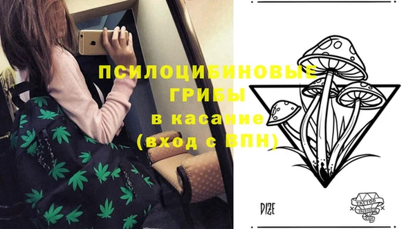 спайс Пересвет