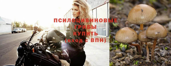 спайс Пестово