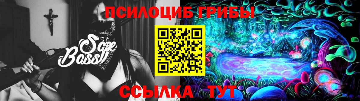 купить наркоту  Галлюциногенные грибы Psilocybe  Вход с VPN  Кунгур 
